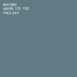 #607B84 - Pale Sky Color Image